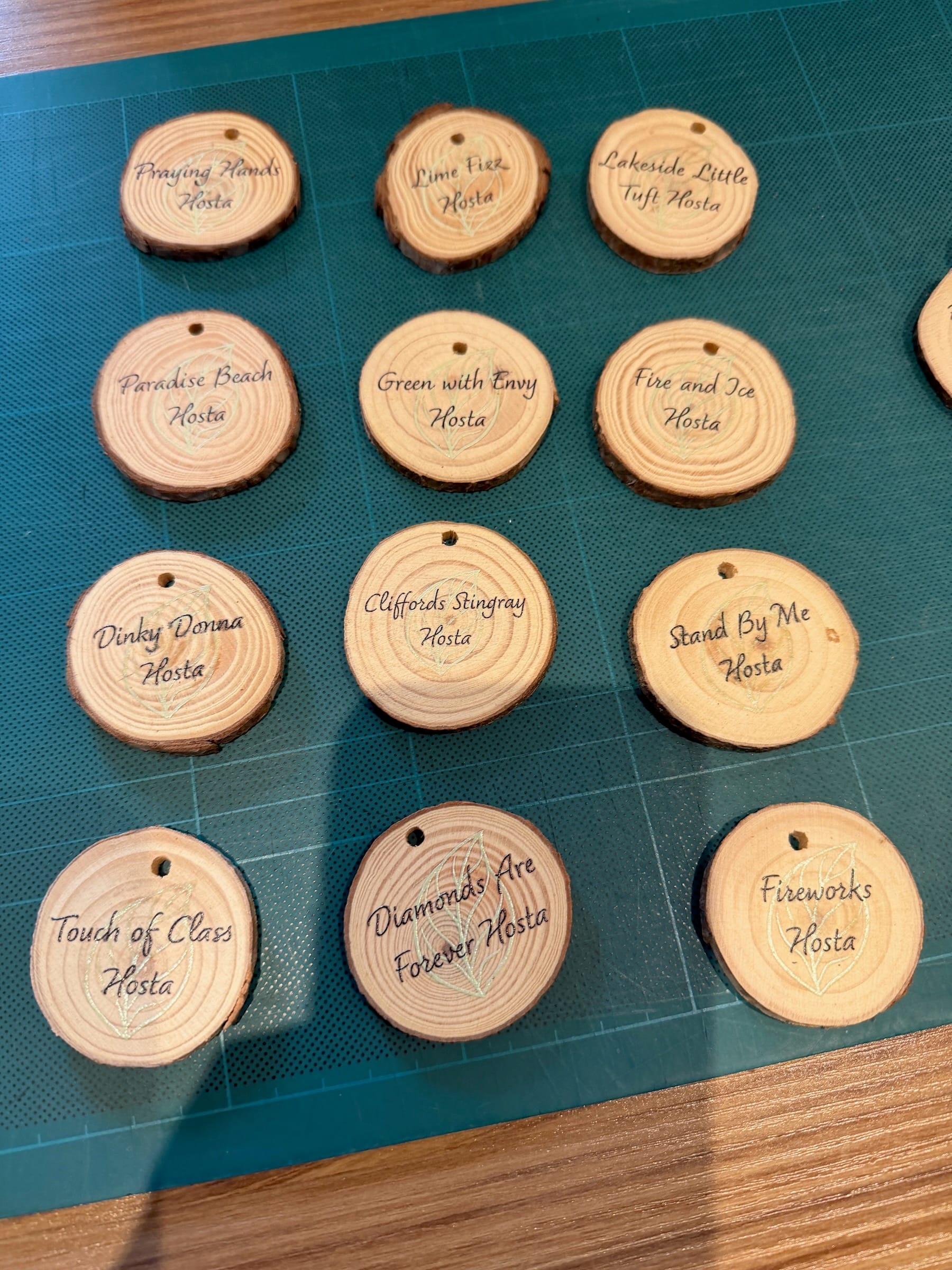 Wooden circular tags with hosta plant variety names