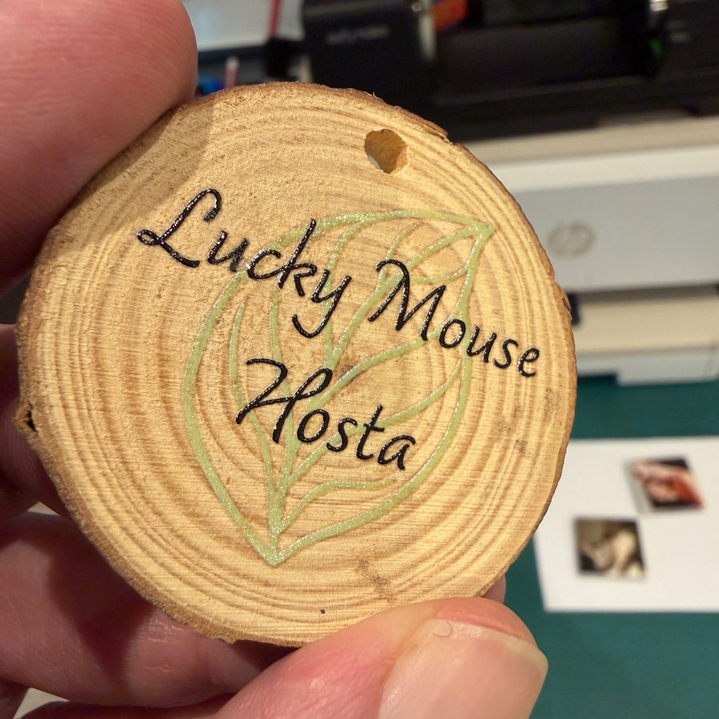 Hand holding wooden slice with Lucky Mouse Hosta text